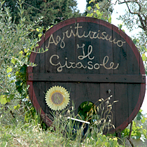 Agriturismo il Girasole San Gimignano